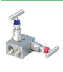 2VM — Two Valve Manifold